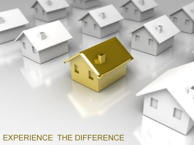 Web Hosting India - Experience the Difference